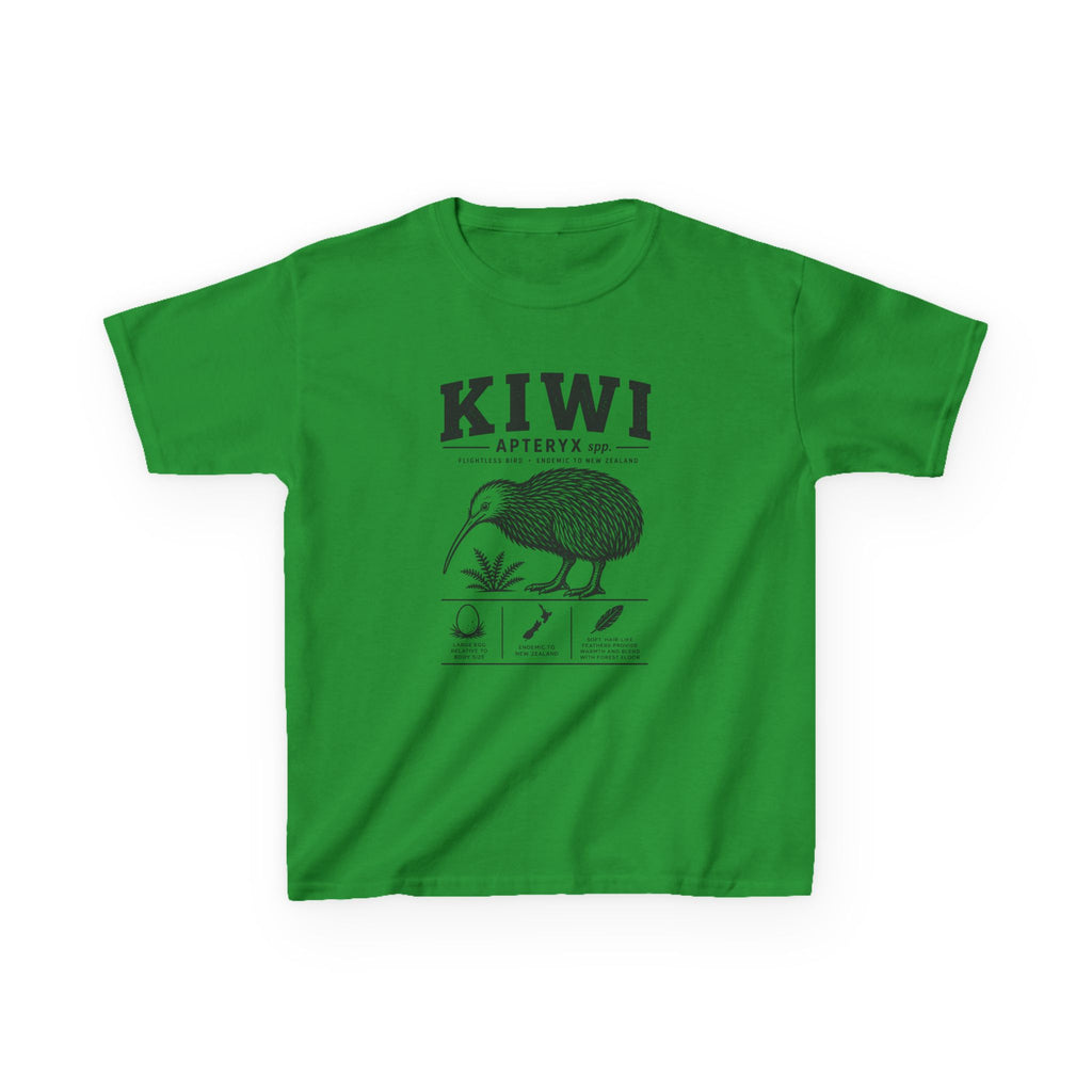 Kiwi Apteryx— Vintage Kiwi Illustration