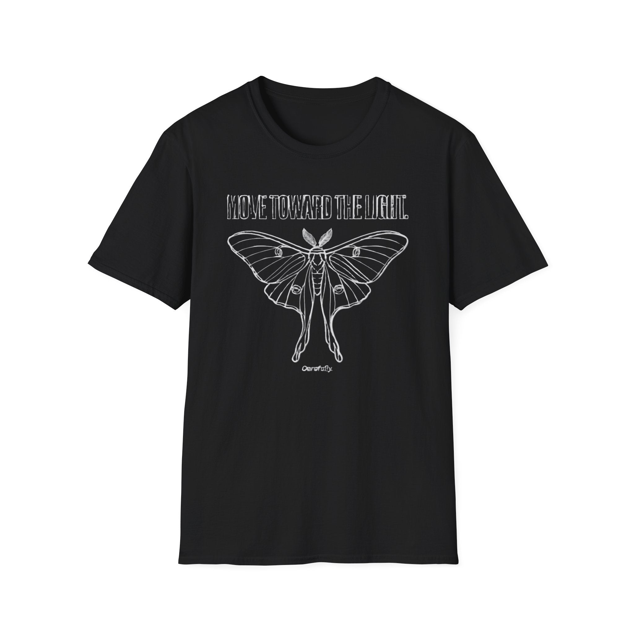 Move Toward the Light - carefully - Moth T