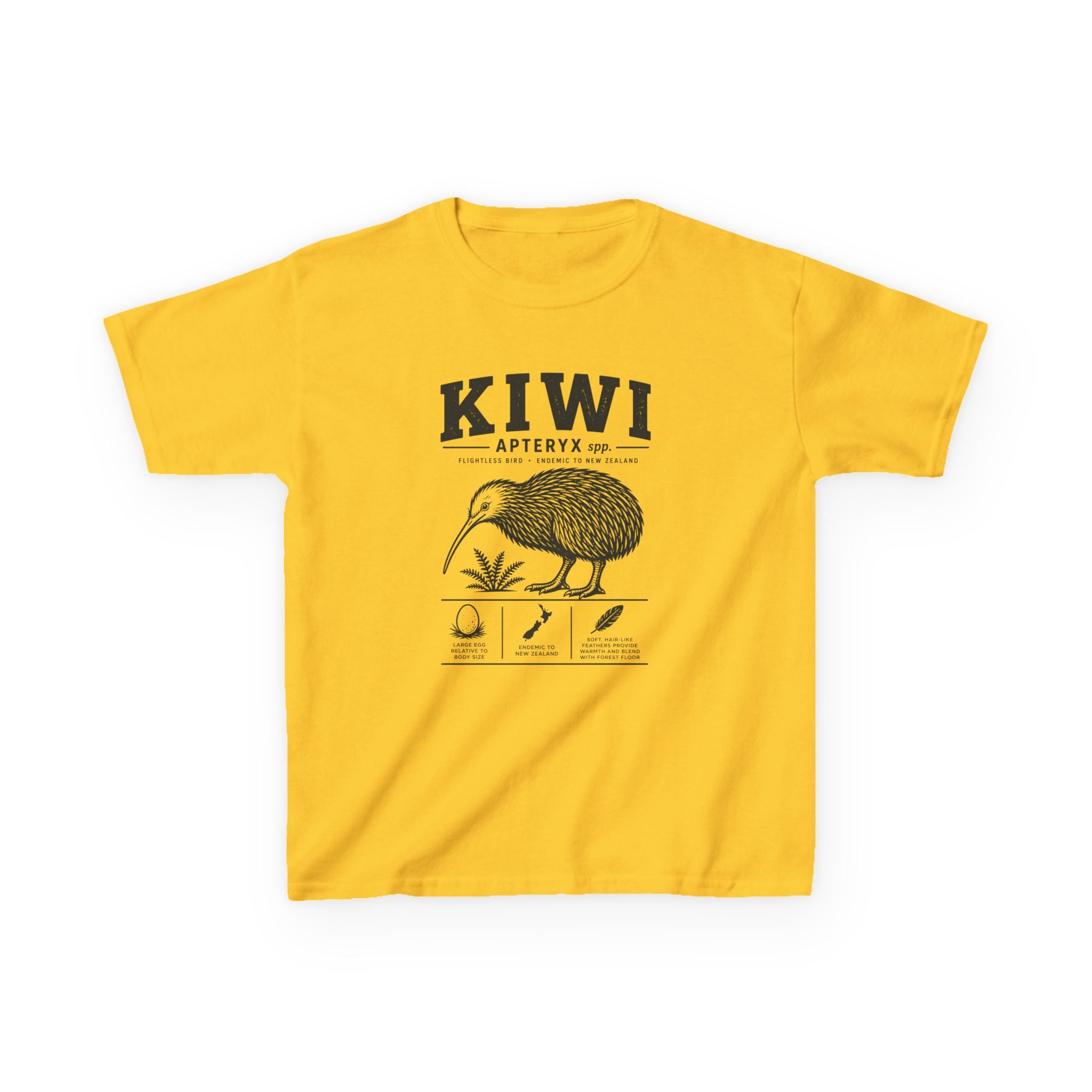 Kiwi Apteryx— Vintage Kiwi Illustration