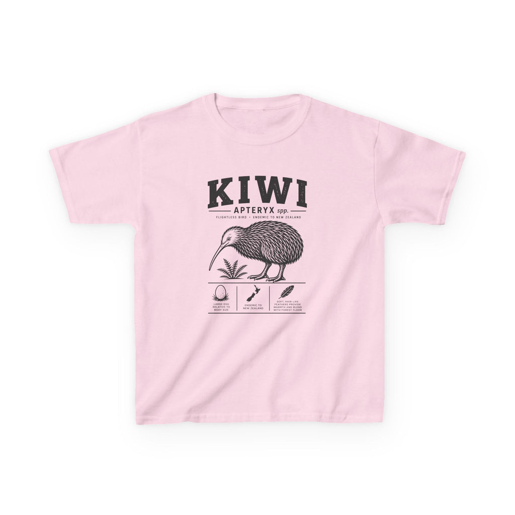 Kiwi Apteryx— Vintage Kiwi Illustration