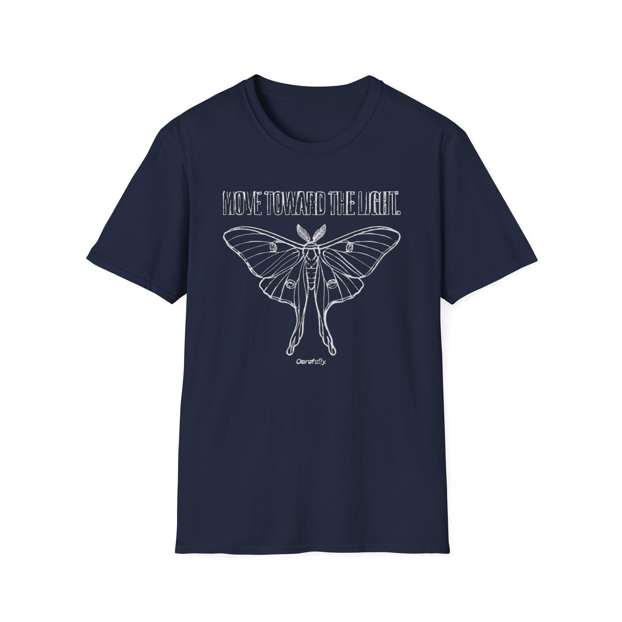 Move Toward the Light - carefully - Moth T