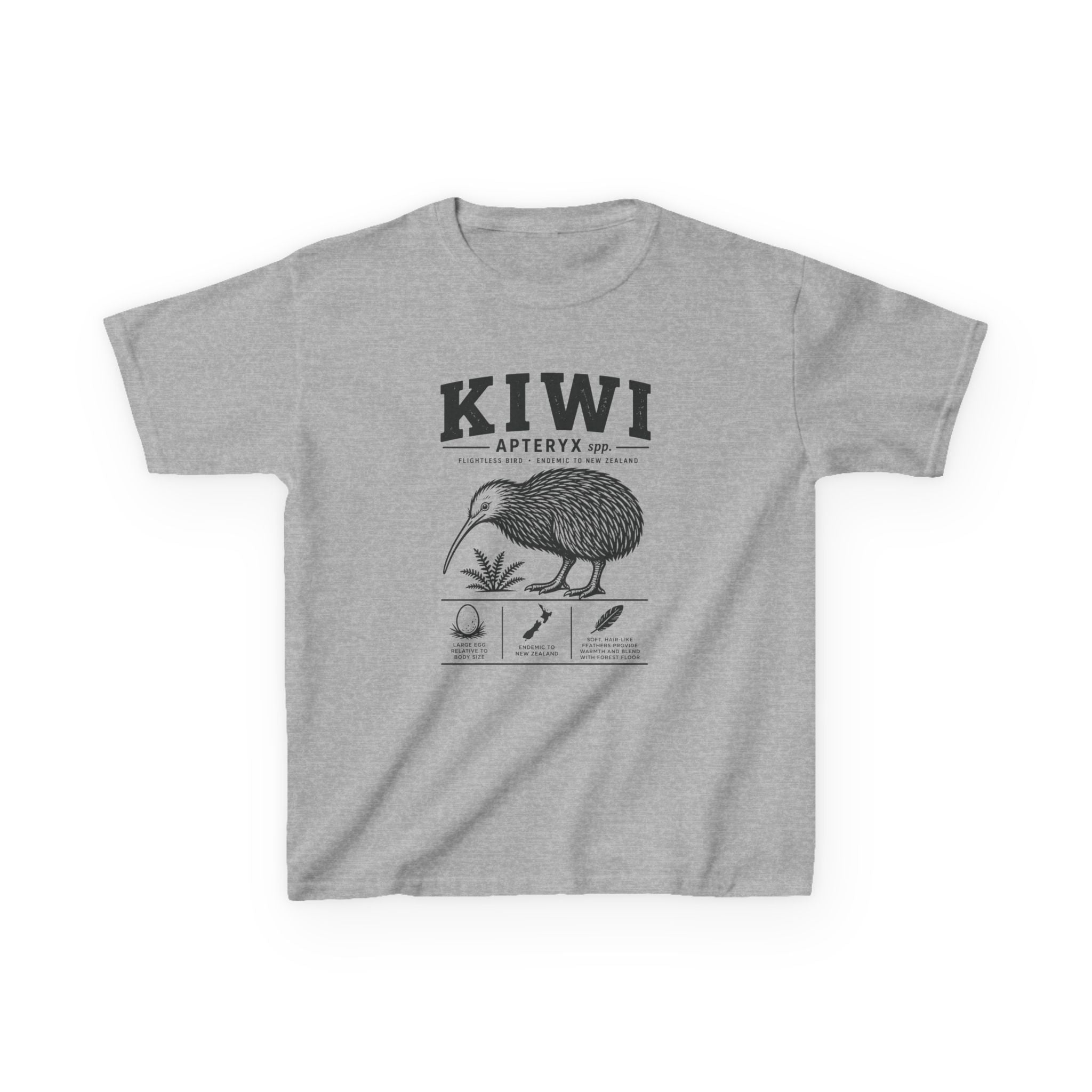 Kiwi Apteryx— Vintage Kiwi Illustration