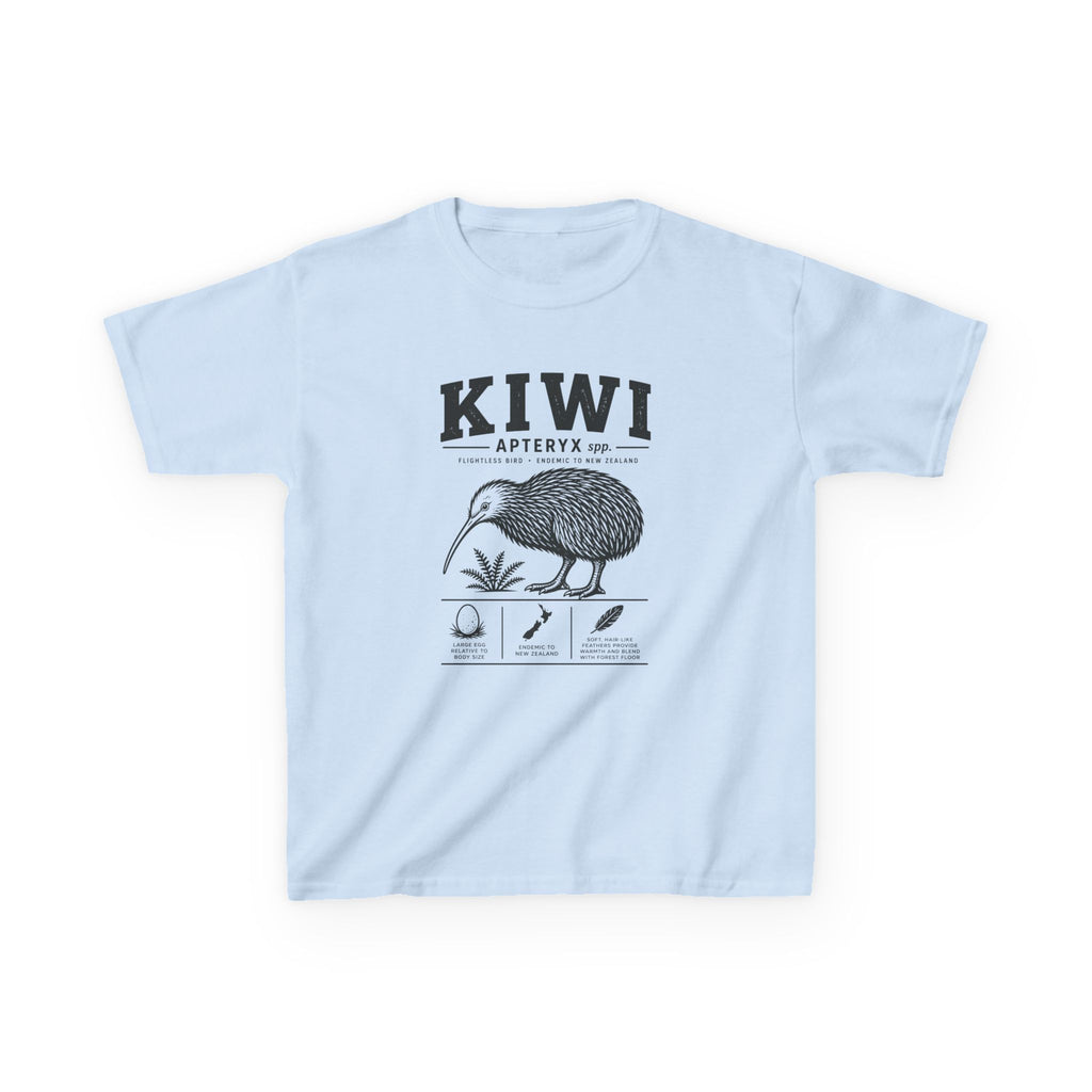 Kiwi Apteryx— Vintage Kiwi Illustration