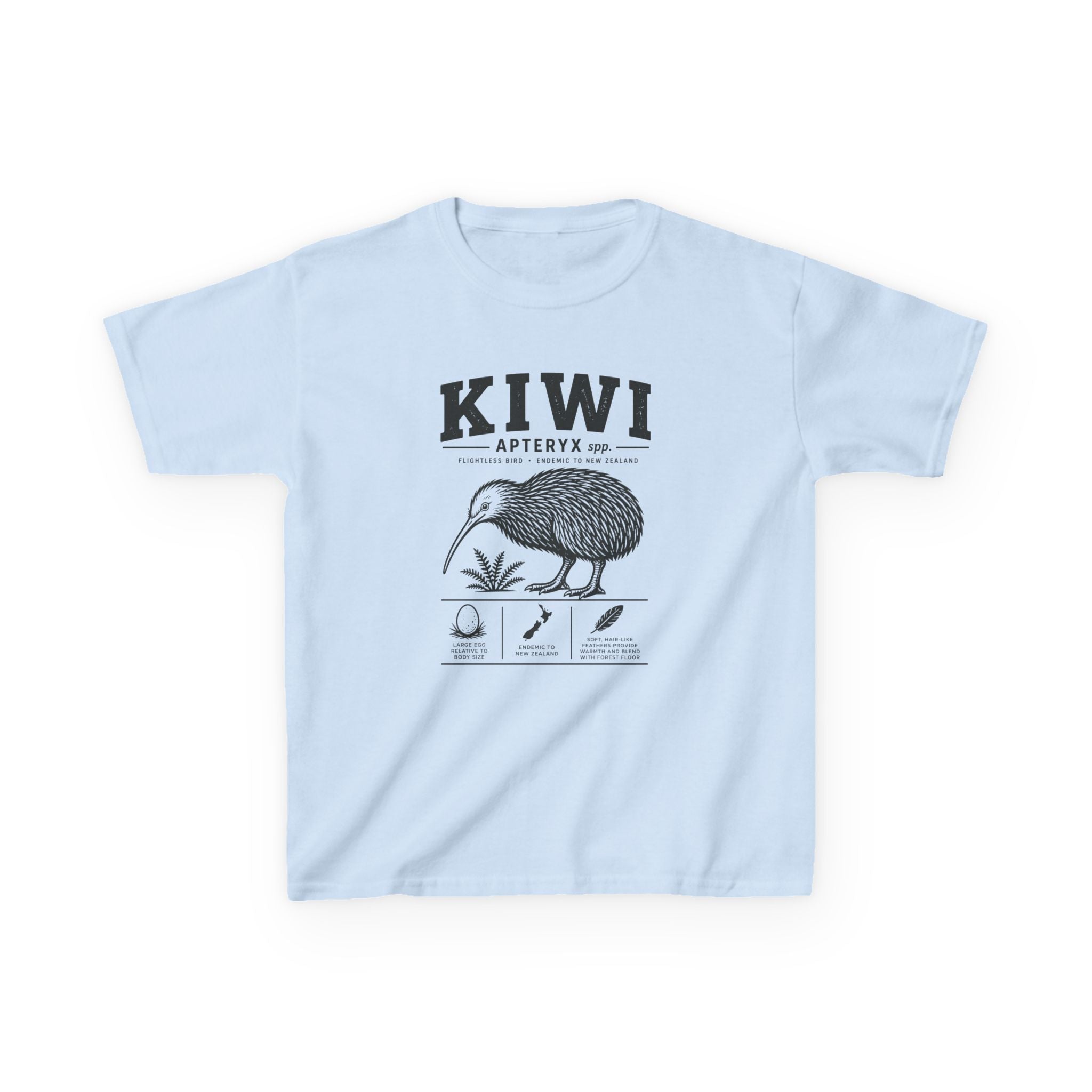 Kiwi Apteryx— Vintage Kiwi Illustration