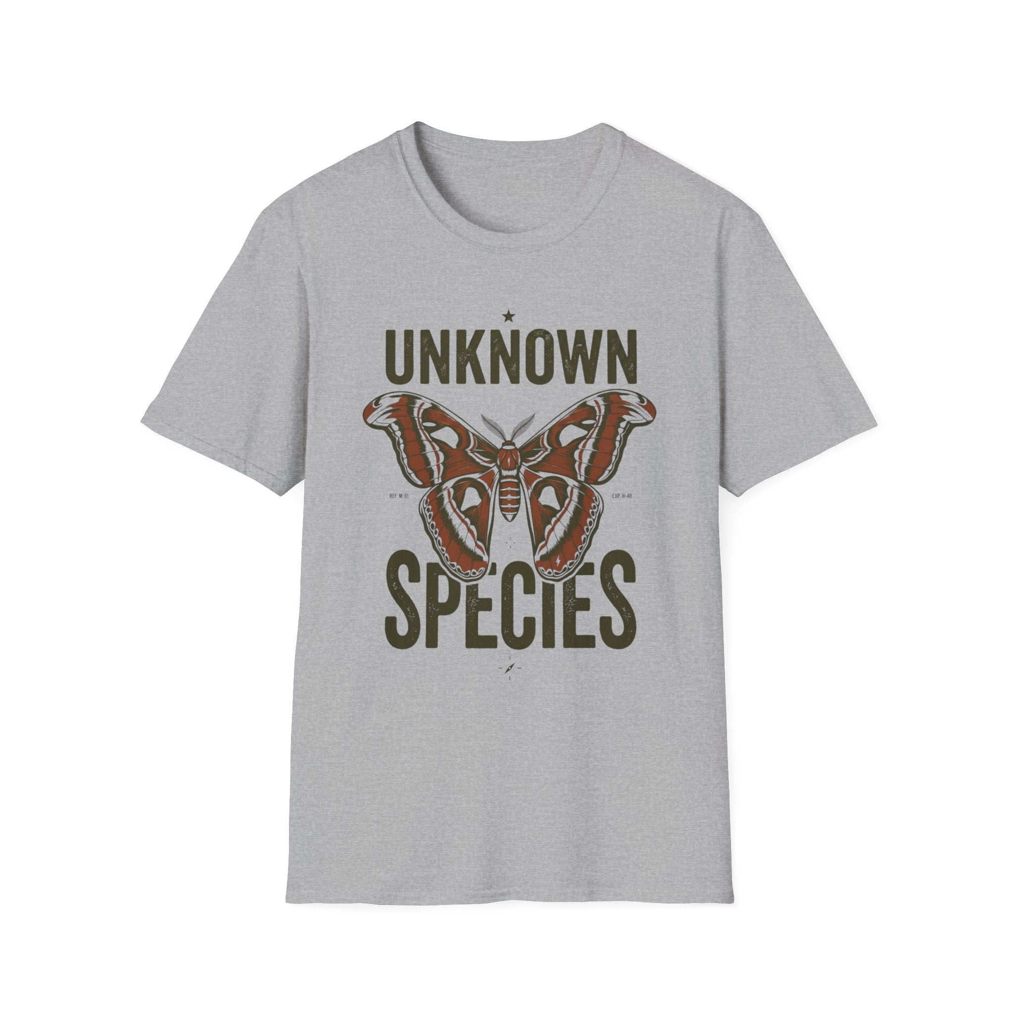 Unknown Species Moth T