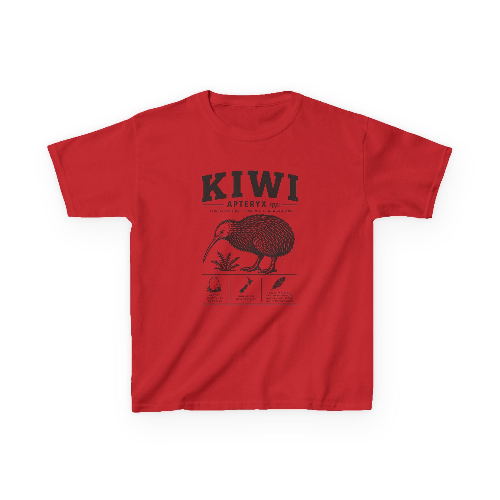 Kiwi Apteryx— Vintage Kiwi Illustration