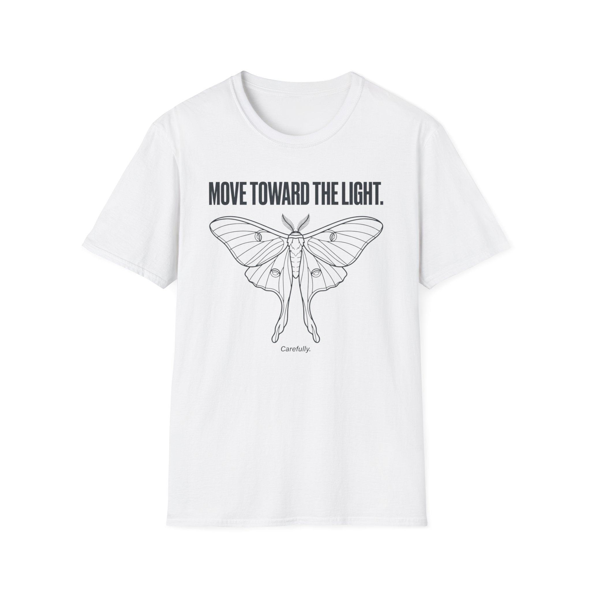 Move Toward the Light - carefully - Moth T